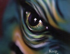 Alumni Feature – Boomers