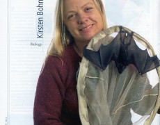 Nights in the Bat Cave