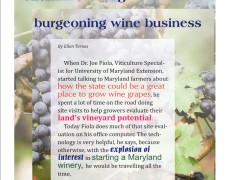 Maryland Wine Takes Off